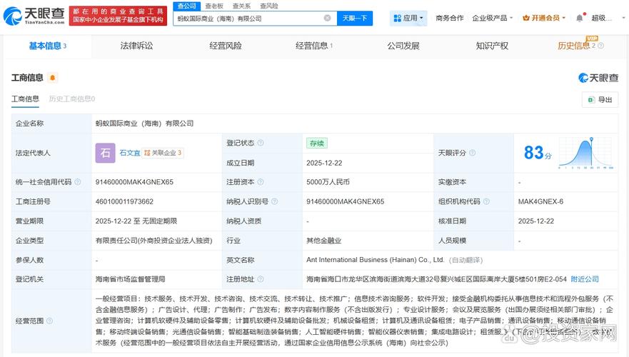 代表人為石文宜,注冊資本5000萬人民幣,經營范圍包括信息技術咨詢服務
